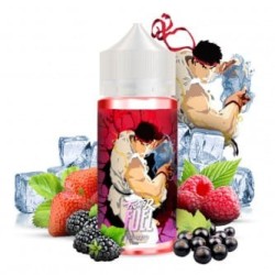 PREMIX Fighter Seiryuto 100ML