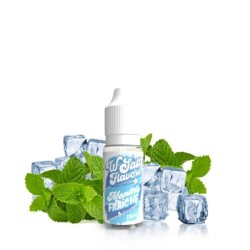 Liquid Menthe Fraîche 10ml - Wsalt Flavour 10mg