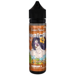 Virtus Summer Flaver 40/60ml Cookietka