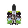 Premix Assassin's Vape 50/60ml - Assassin