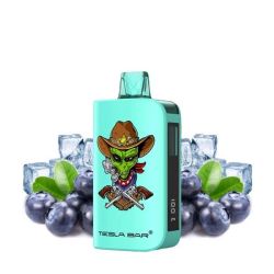Puff ST-10 000 20mg - Tesla Bar - Blueberry Ice