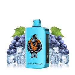 Puff ST-10 000 20mg - Tesla Bar - Grape Ice