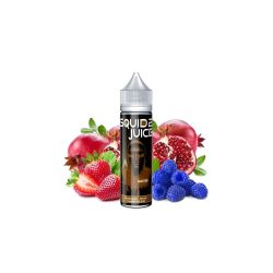 Premix Squid Juice 2 - Master 50/60ml
