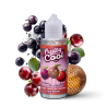 Premix Fruity Cool - CASSIS FRUIT DU SERPENT BAIE ROUGE 100/120ml